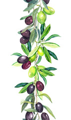 Olive tree branches. Watercolor border stripe