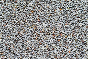 Poppy seed. Macro photo. Top view.