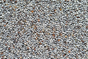 Poppy seed. Macro photo. Top view.