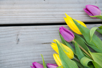 yellow and violet tulips on wooden ground