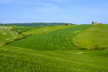 Fototapeta premium Countryside landscape around Pienza Tuscany