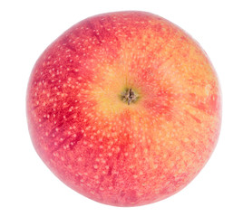 Fuji bright apple on white