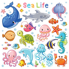 Obraz premium Vector Sea set. Sea animal in childrens style. Cartoon fish.