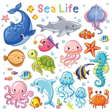 Vector Sea set. Sea animal in childrens style. Cartoon fish.