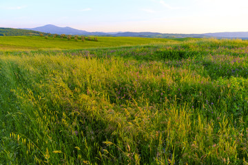 Countryside landscape around Pienza Tuscany
