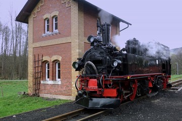 Naklejka premium preßnitztalbahn