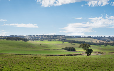 Beautiful landscape in the regional area of Australia.