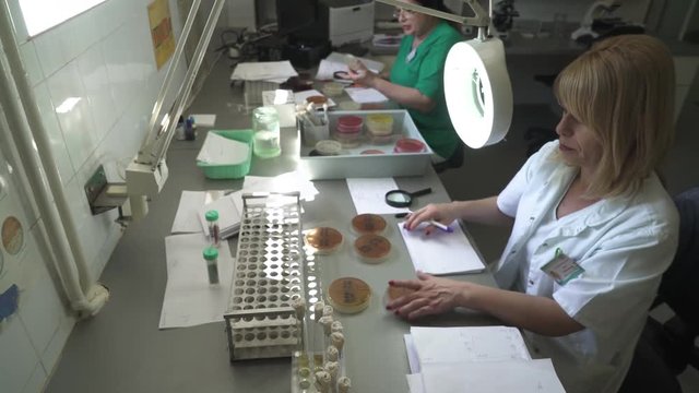 Two female doctors specialist microbiologist are looking through the loupe and analyzing samples at the desk with glassware in laboratory, microbiology or bacteriology analysis,  crane shot, tilt down