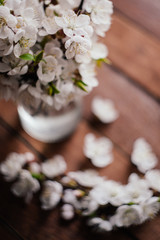 цветущие абрикосы в стеклянной вазе