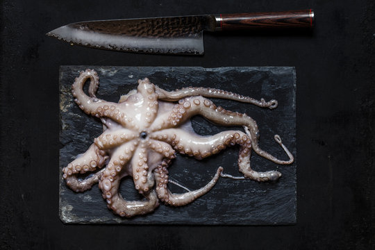 Raw octopus on slate and kitchen knife