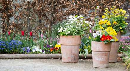 Bepflanzte Tontöpfe im Garten
