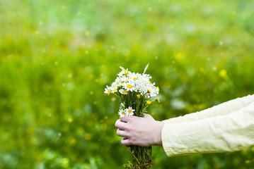 Girl's hands with flowers