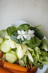 Plate of variety of vegetables, view from above, selective focus, focus on cherry flowers on top of spinach leaves