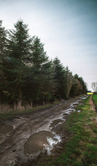 Fototapeta na wymiar Muddy road into a pine forest in the field