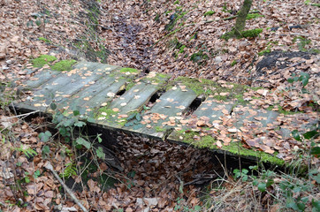 Quite rotten and decayed wooden bridge in a forest.