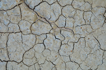 dry soil background.