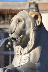 Lion statue spitting water in Rome, Italy