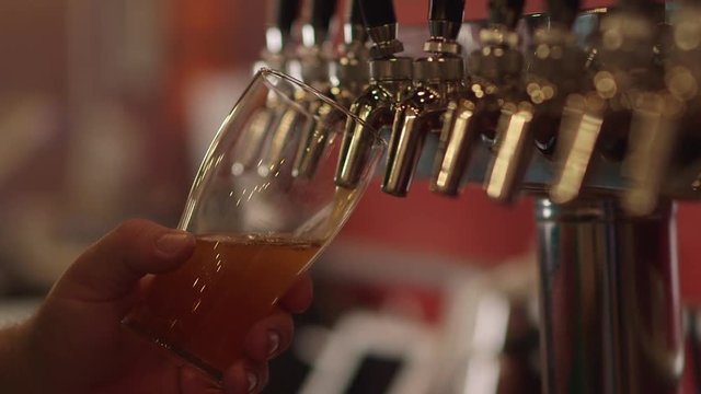 Bartender Pouring Craft Beer from Tap into Pint Glass at Restaurant Bar / Brewery