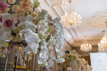 Look from below at branches of orchids hanging from the vase