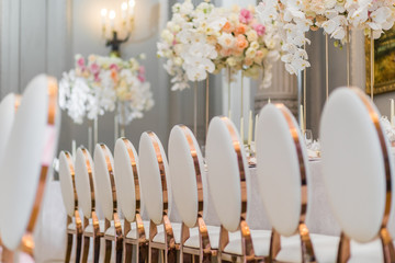Row of chairs with round backs before long dinner table