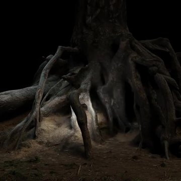 Pine roots at night with flying light 3d illustration
