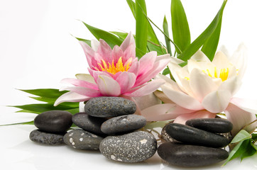 Naklejki  Czas wolny, relaks, medytacja: lilie wodne z bambusem i kamykami :)