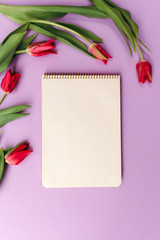 Notebook mock up for artwork with red tulips on violet background. View from above.