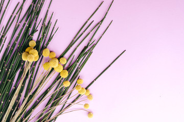Floral minimal background with bamboo. Top view