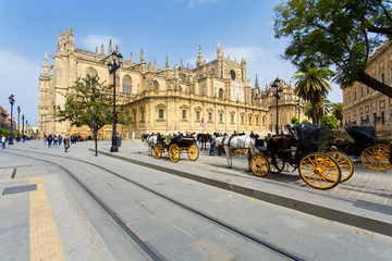 Naklejka premium The Cathedral of Saint Mary of the See in Seville