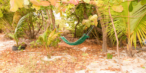 landscape of the West Indies with a hammock between two palm trees
