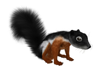 3D Rendering Prevost Squirrel on White