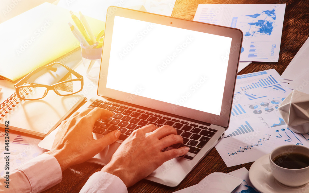 Wall mural business woman working on laptop