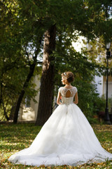 Obraz na płótnie Canvas Look from behind at bride posing in her luxury dress on the lawn