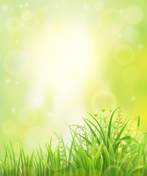 Spring or summer green grass natural background