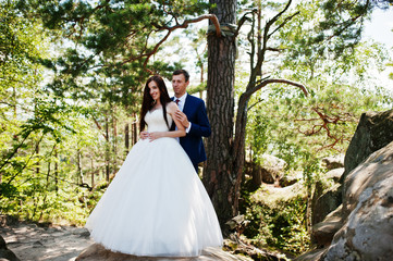 Obraz na płótnie Canvas Lovely wedding couple at amazing landscapes with rock Dovbush, Carpathian mountains at Ukraine.