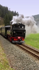 Fototapeta na wymiar preßnitztalbahn