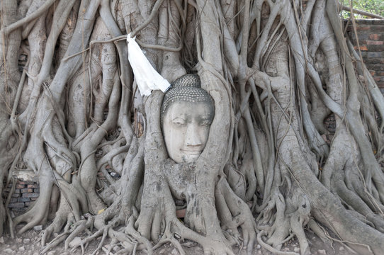 Ayutthaya Historical Park, head of Buddha
