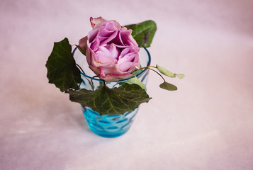 Blue glass with violet hydrangea on grey background