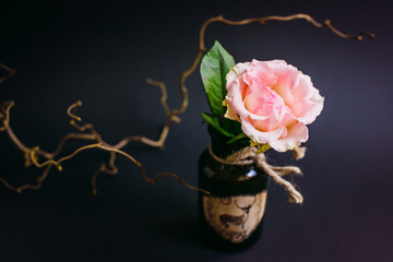 Tender pink rose put in a dark vase with branch around it