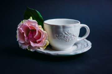 Pink rose in precious porcelain cup