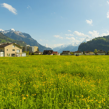 Small towns in Europe. Brunnen. Switzerland. Panorama of the town Brunnen. Traditional Alpine meadows with luscious bright grass.  Tractor fertilizes the field. Travel to Europe.