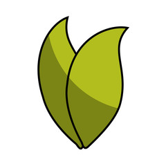 leafs plant decorative icon vector illustration design