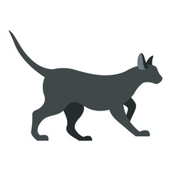 Cat icon isolated