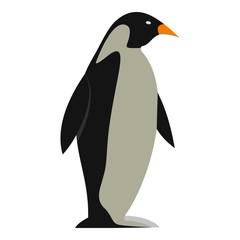 Penguin icon isolated