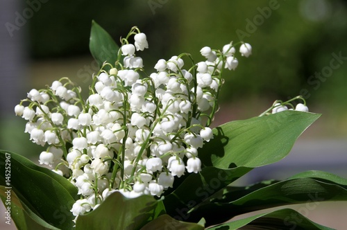 500_F_145252967_YNTeAf1TRmb3ukJ5menawX1hHE5Oasdy.jpg