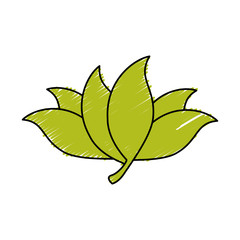 leafs plant decorative icon vector illustration design