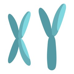 X and Y chromosomes icon isolated