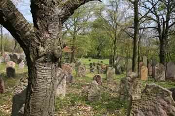 old jewish cemetery
