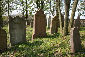 Naklejka premium old jewish cemetery