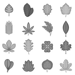 Different leafs icons set monochrome